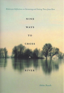 nine-ways-to-cross-a-river-akiko-busch